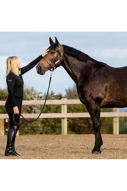 Poseidon Digestive EQ®