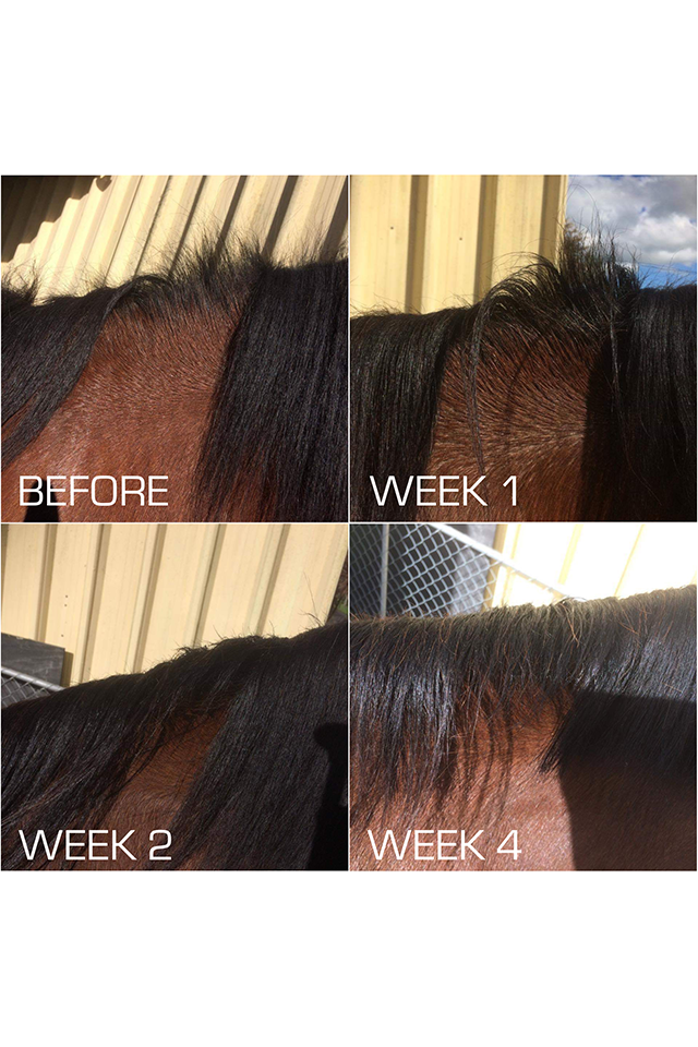 HSE HG Serum - Rapid Hair Repair 100ml