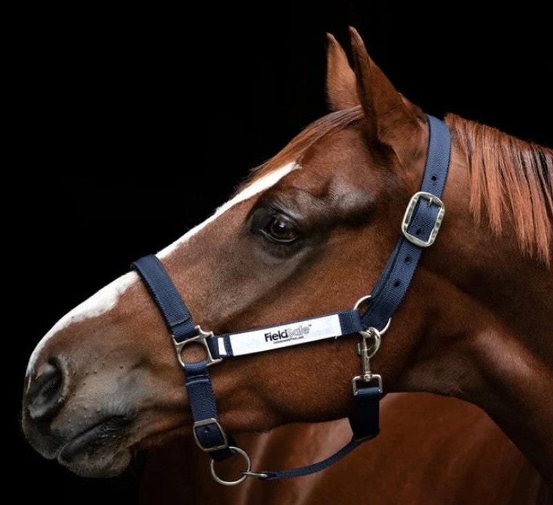 Horseware Field Safe Head Collar Halters & Leads 