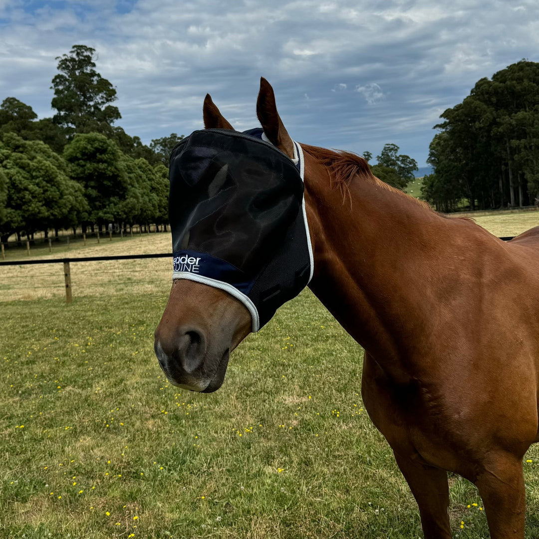 LE Outback Fly Mask - Original
