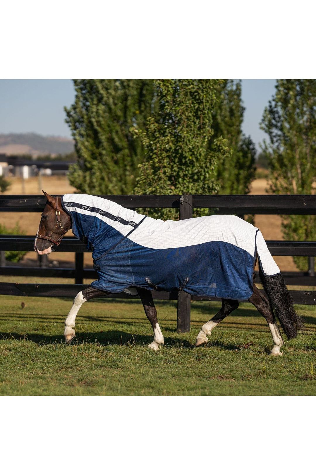 Horseware Amigo Helix Airflow Disc Front