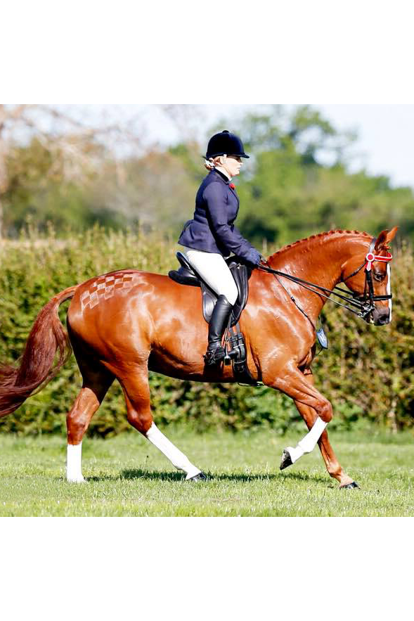 HSE Glass Pro Coat Laminator Spray 250ml