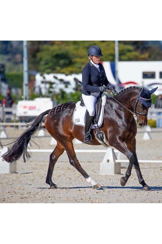 HSE Glass Pro Coat Laminator Spray 250ml