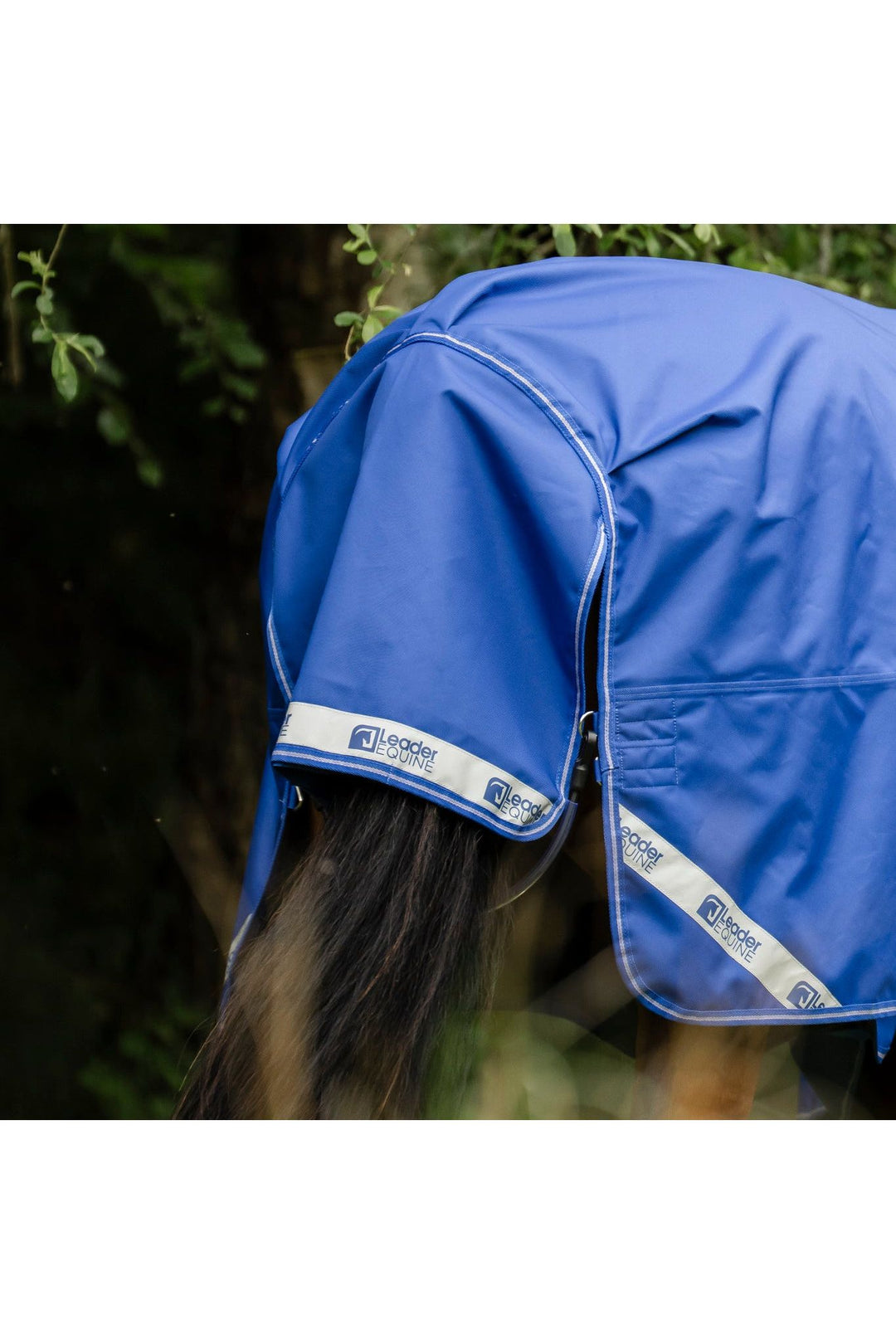 LE Boxter Turnout 0gm - Luminous Blue