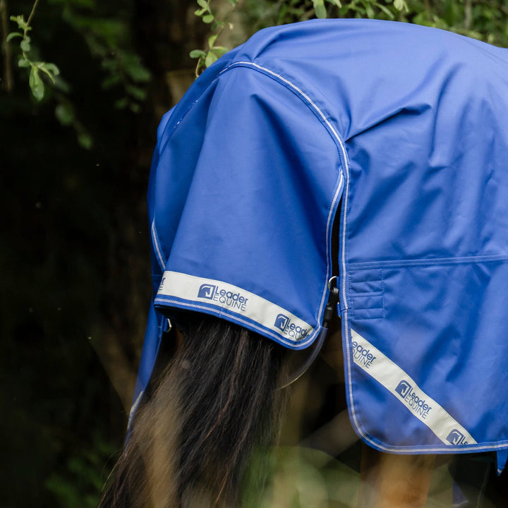LE Boxter Turnout 0gm - Luminous Blue