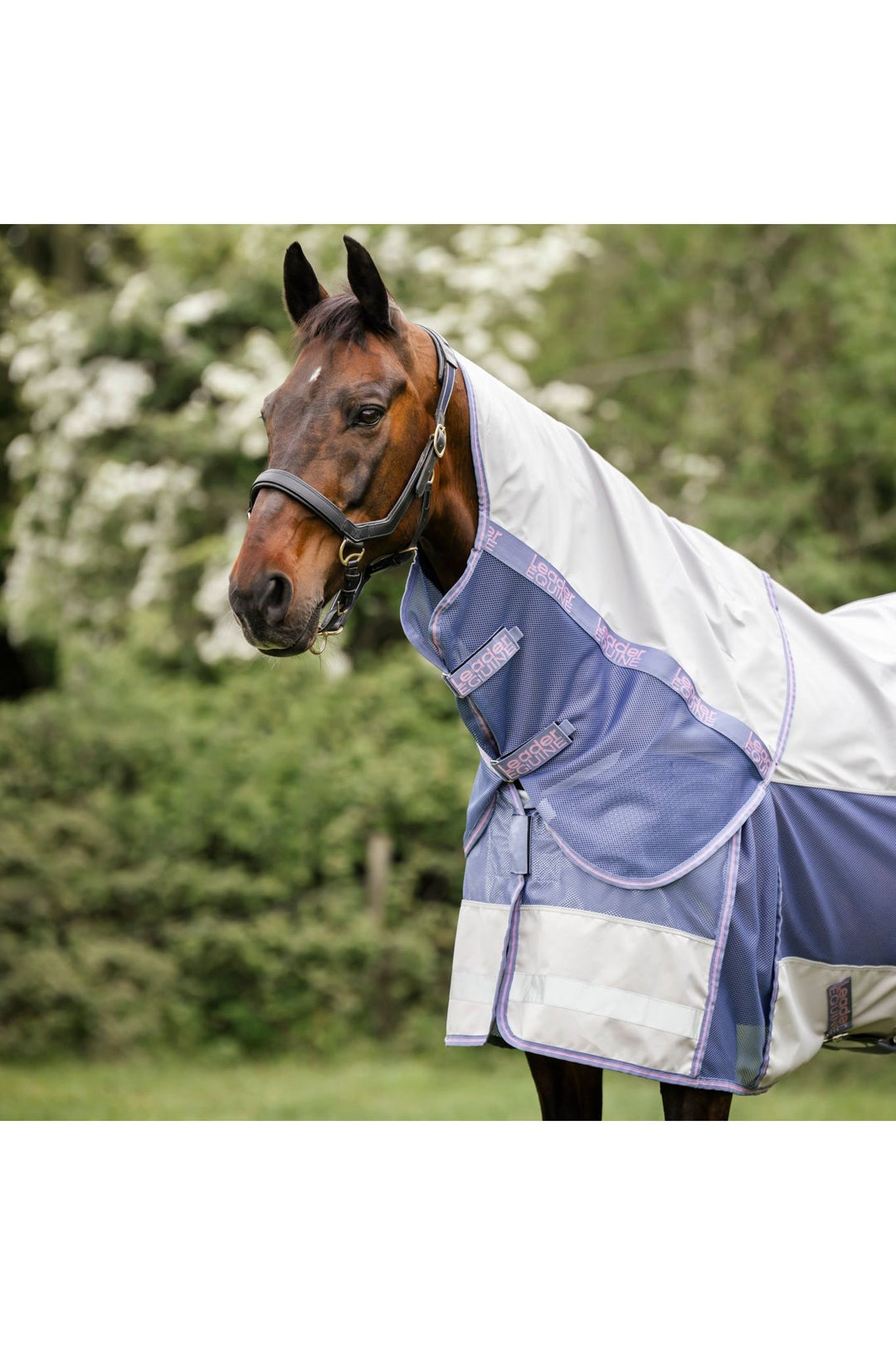 LE Boxter Hybrid Mack Turnout 0gm - Grey with Blue Ice &amp; Pop Pink
