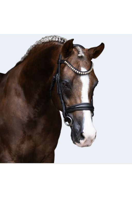 Lumiere 'Athens Lumi Pony' Bridle - Brown
