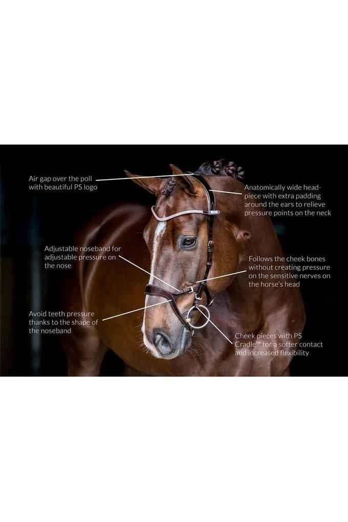PS of Sweden - Nirak Bridle - Canterbury Saddlery