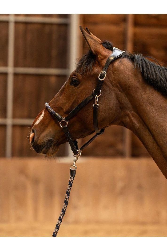Palermo Leather Halter & Lead Rope Set - Canterbury Saddlery