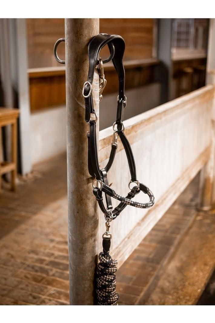 Palermo Leather Halter & Lead Rope Set - Canterbury Saddlery