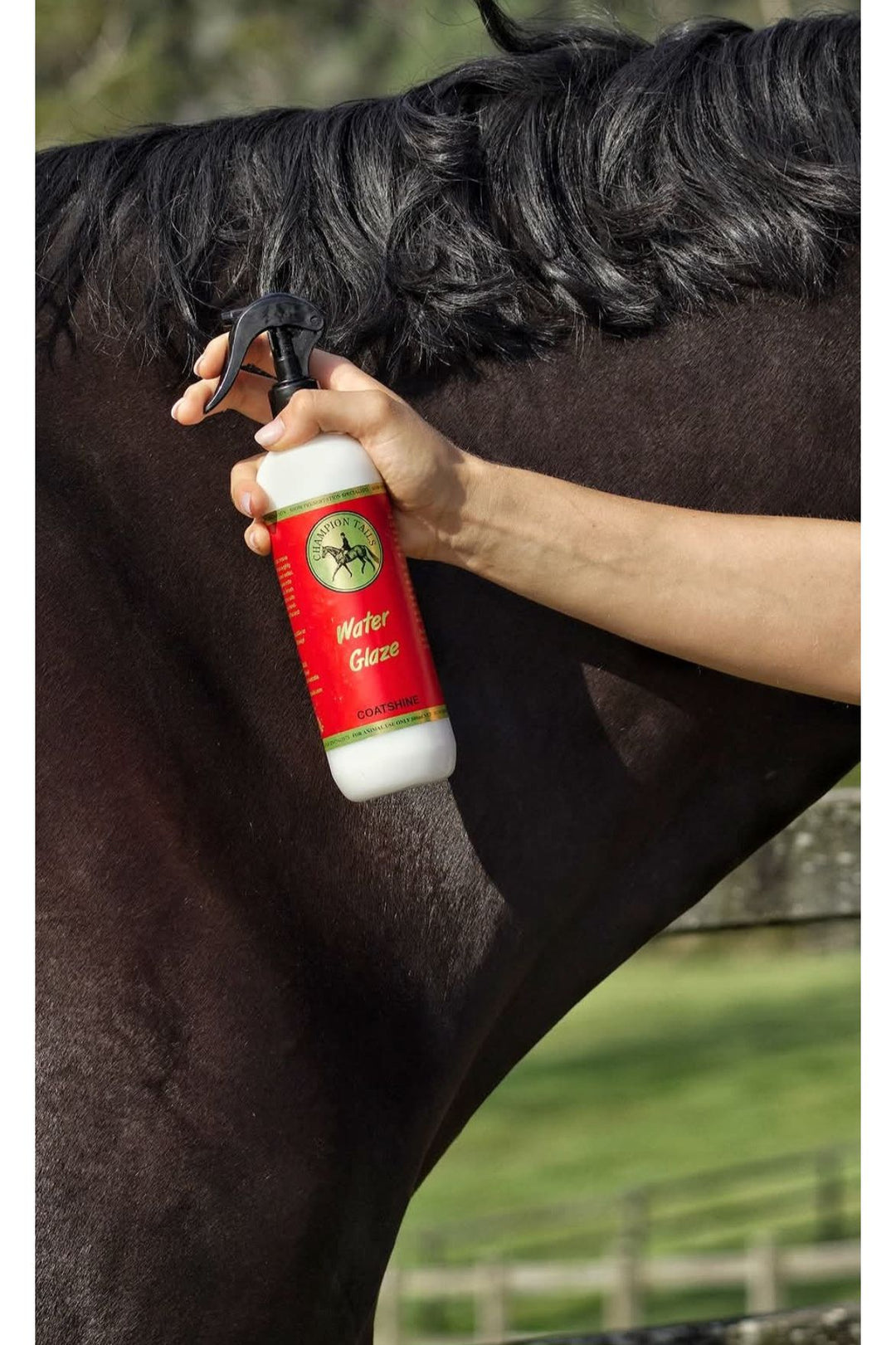 Champion Tails Water Glaze