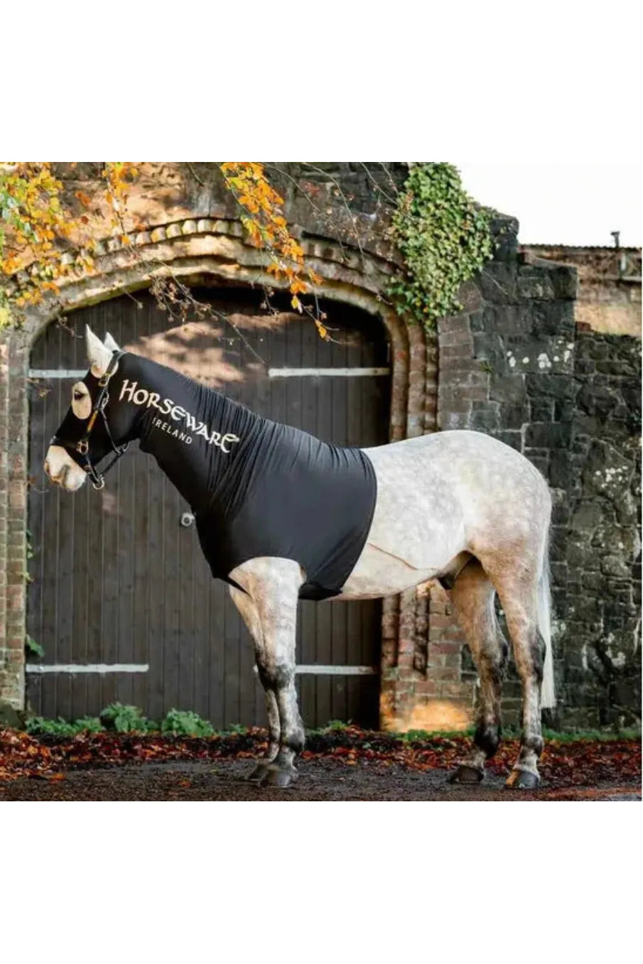 Rambo Slinky Hood - Canterbury Saddlery