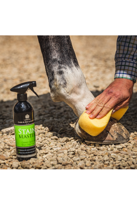 CDM Stain Remover Spray - 500ml