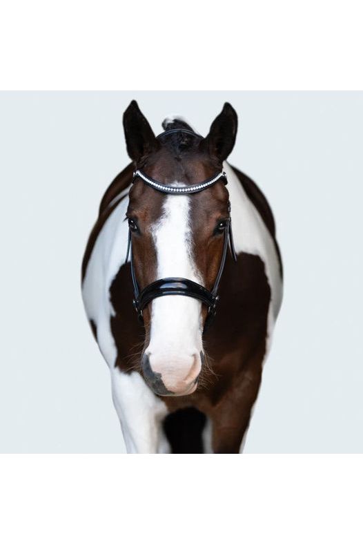 Lumiere 'Symphony' Bitless bridle - Black