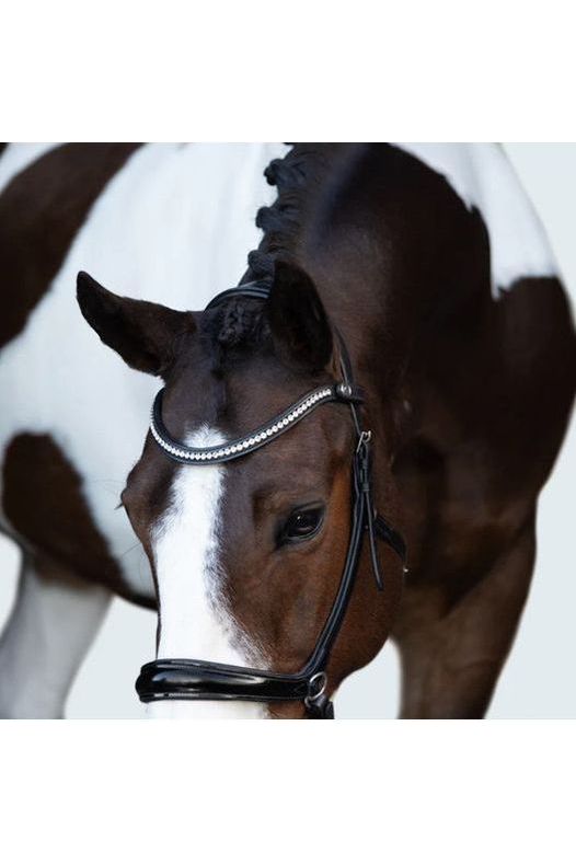 Lumiere 'Symphony' Bitless bridle - Black