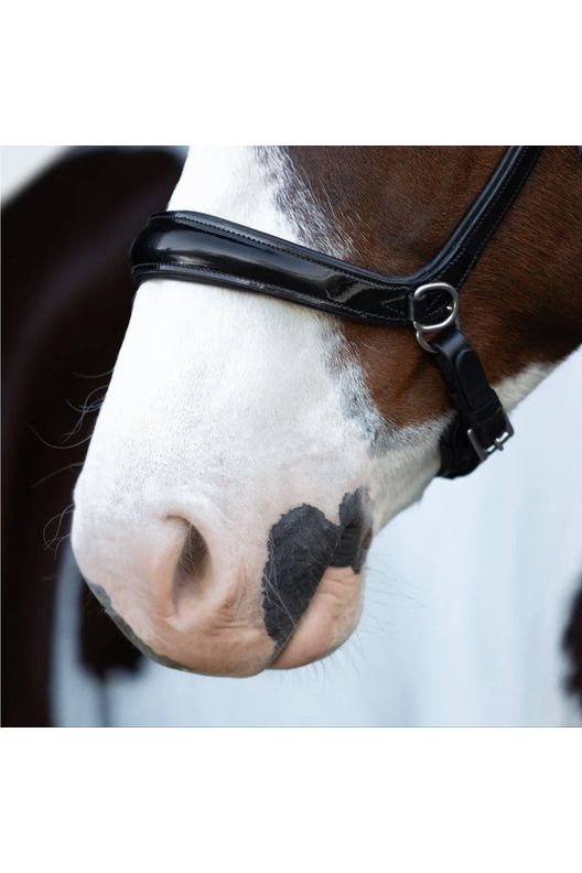 Lumiere 'Symphony' Bitless bridle - Black