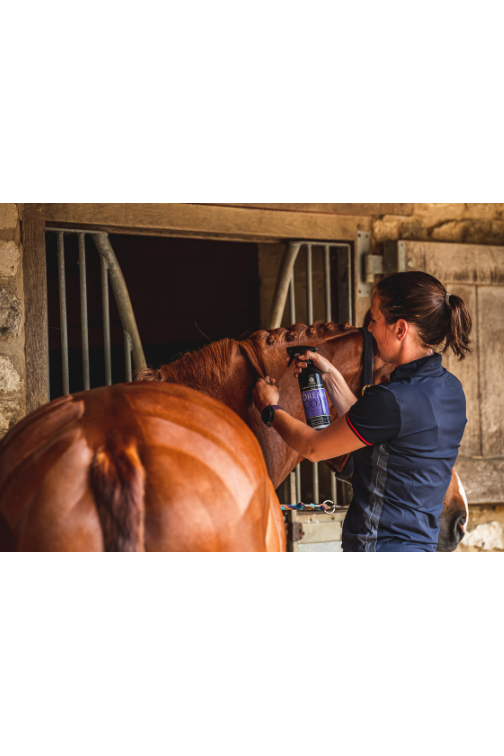 CDM Dreamcoat Ultimate Coat Finish - 500ml