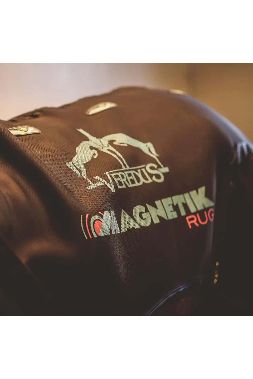 Veredus Magnetik Rug