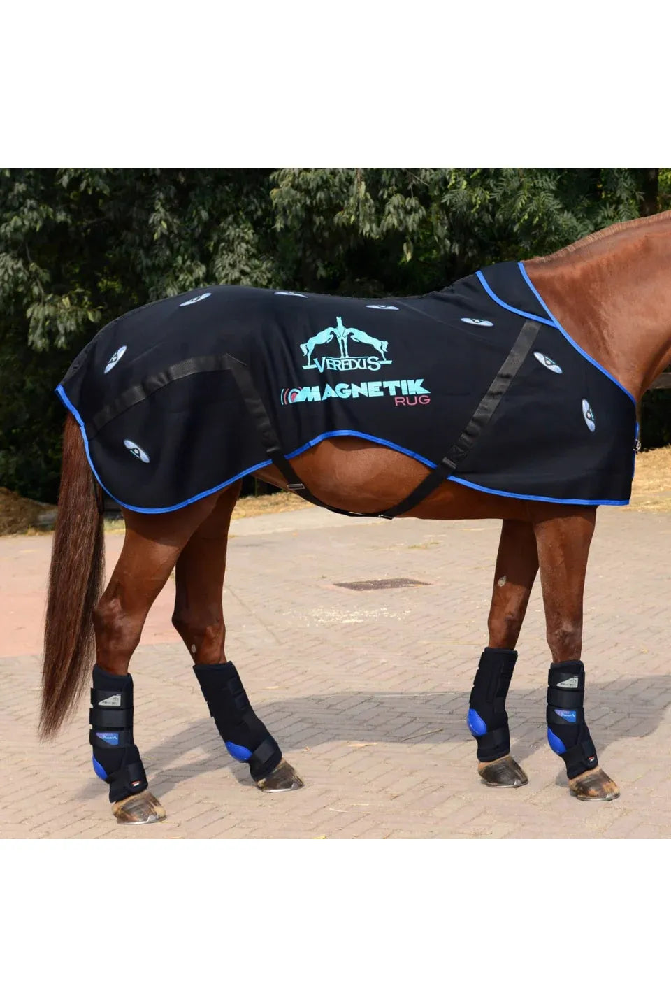 Veredus Magnetik Rug