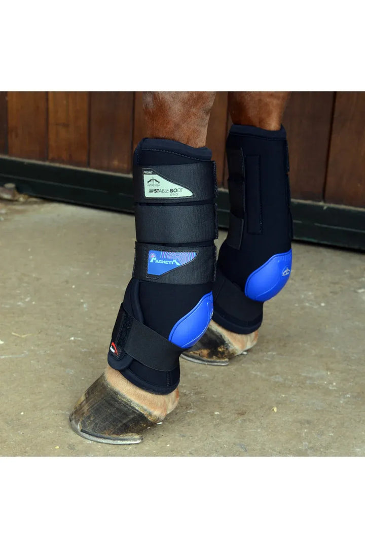 Veredus Magnetik Stable Boot Evo - Hind