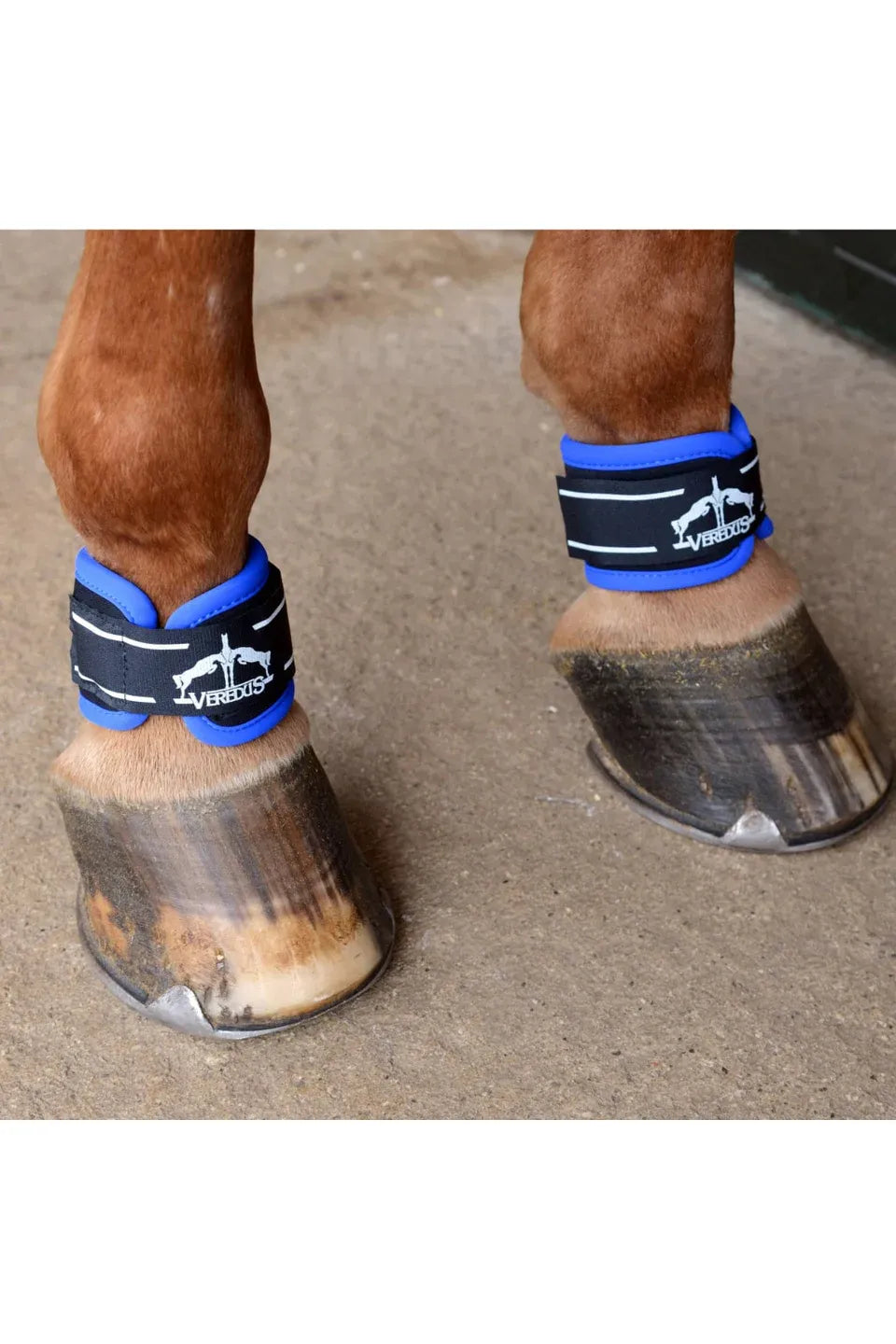 Veredus Pro Wrap Magnetik - Pair