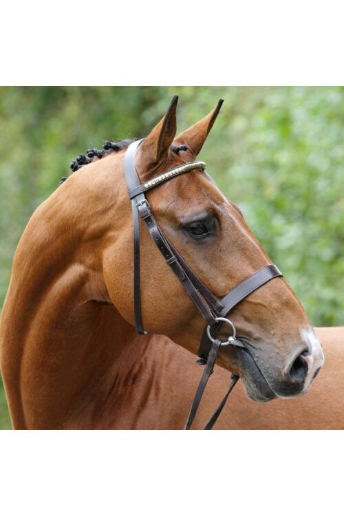 Vetpro Equine Thiamine B1 - 500g