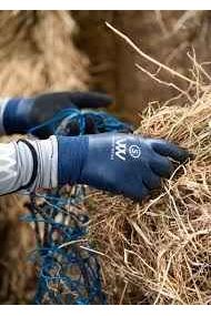 Woof Wear Winter Yard glove - Navy