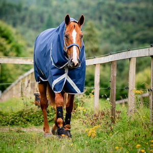 Horseware Amigo 1200D Plus Turnout 100gm