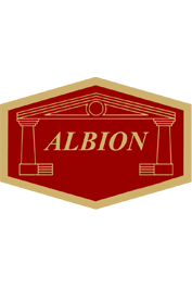 Albion Super Rubber Reins