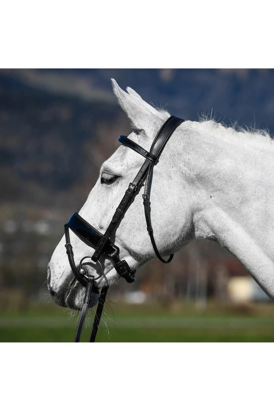 Amerigo Vespucci Patent Dressage Snaffle Bridle