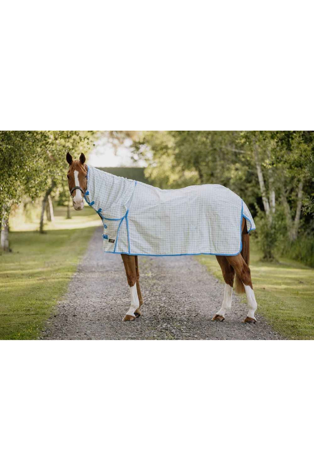 Flair Cotton Summer Sheet Combo