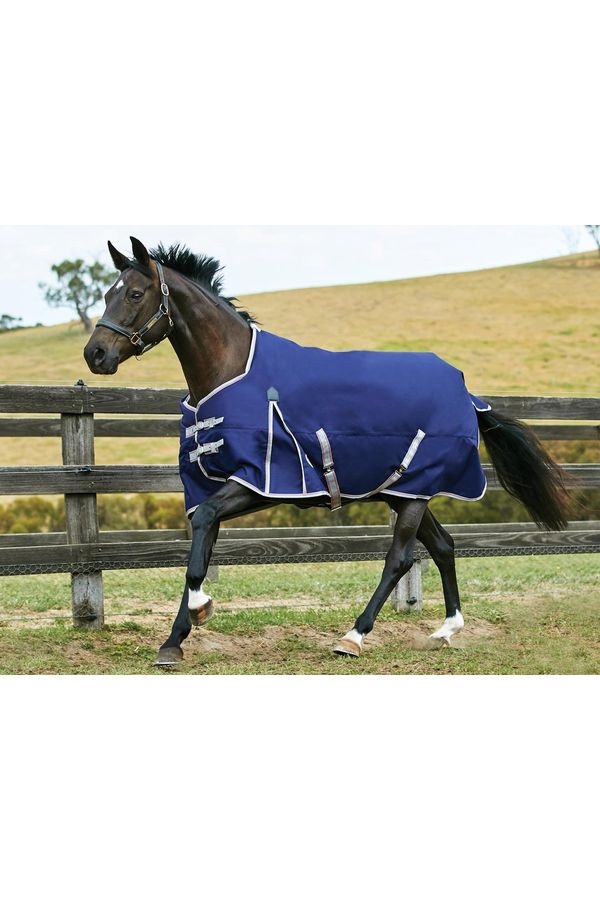 220G Weatherbeeta Comfitec Essential Standard Neck Medium - Canterbury Saddlery