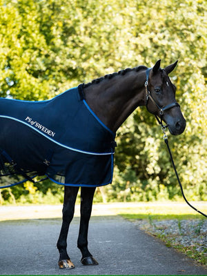 PS of Sweden Cooling Rug