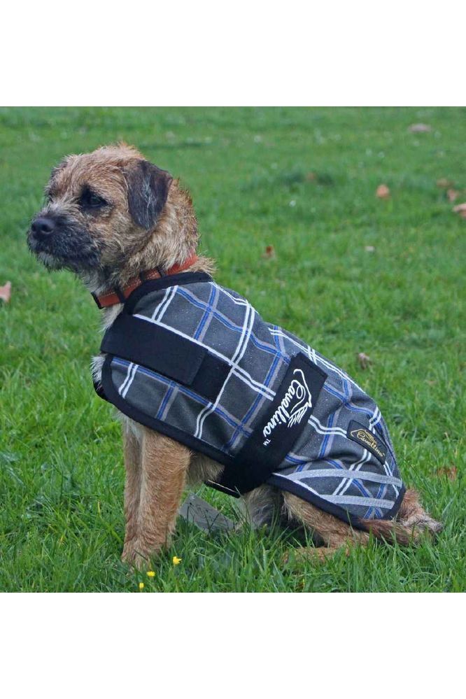 Cavallino Badminton Dog Coat