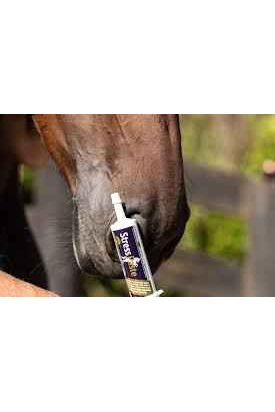 Poseidon StressPaste  360ml Pouch