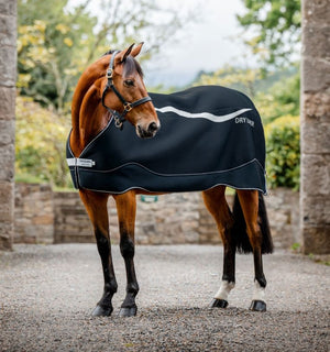 Horseware Dry Liner