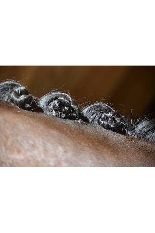 Effol Non-Snap plaiting bands