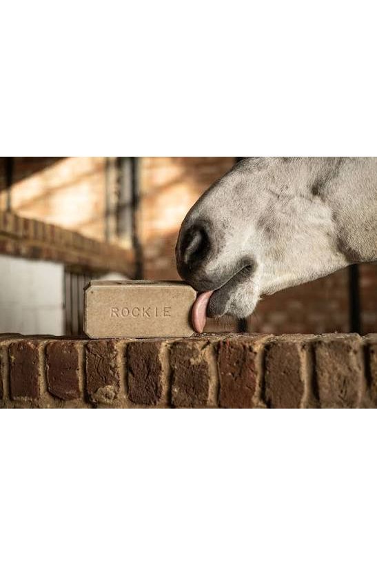Rockies Carrot Flavour Health Lick 2kg