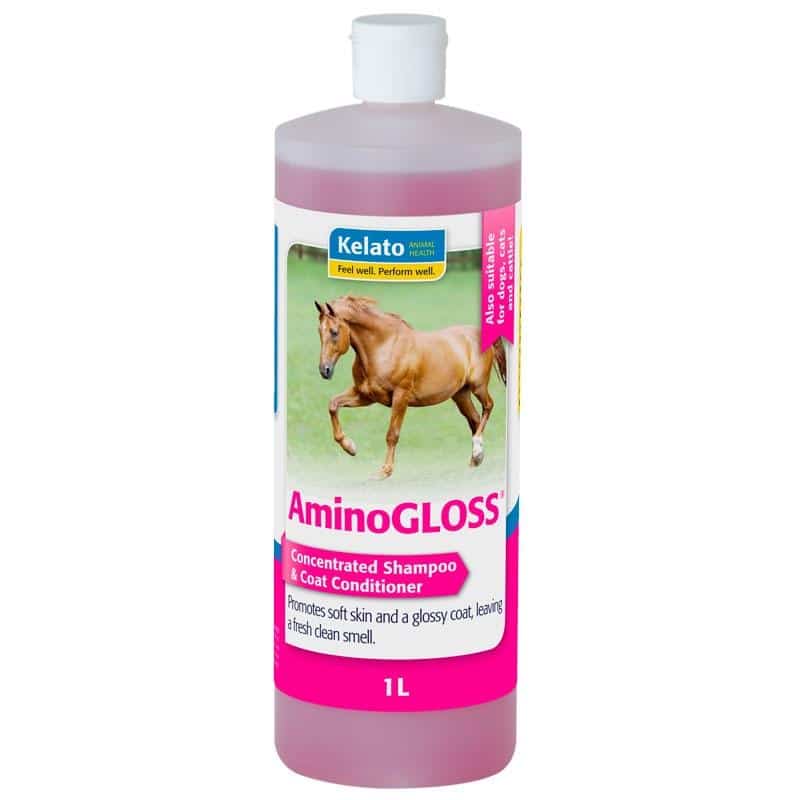 Amino Gloss Shampoo and Coat Conditioner Grooming 