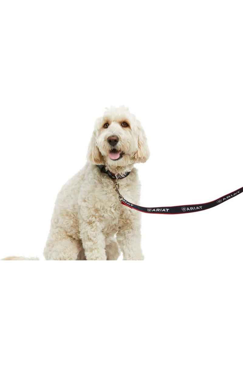Ariat Dog Leash - Team Navy - Canterbury Saddlery