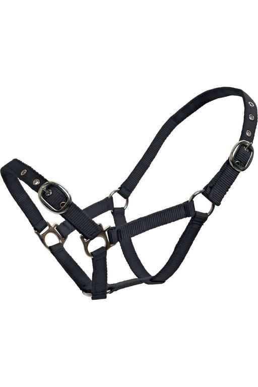 Blue Tag Web Halters - Canterbury Saddlery