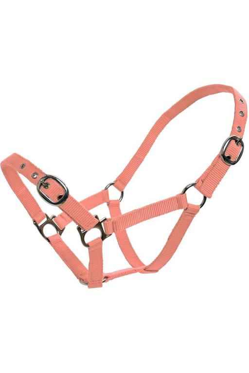 Blue Tag Web Halters - Canterbury Saddlery