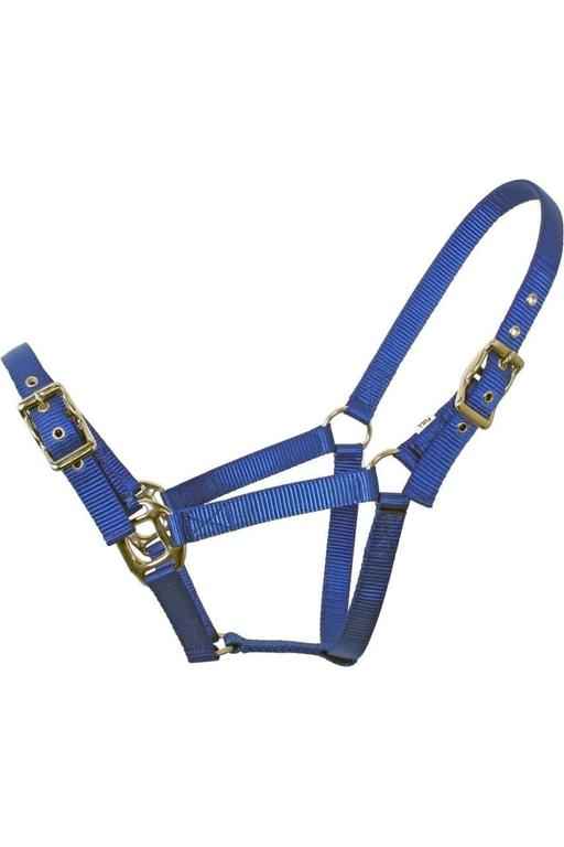 Flair Heavy Duty Nylon Web Halter - Canterbury Saddlery
