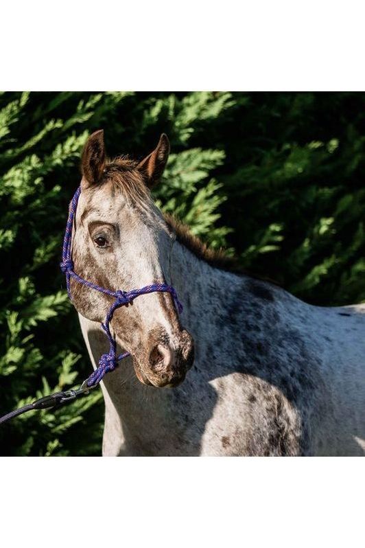 Flair Rope Halter, Multi Fleck - Canterbury Saddlery