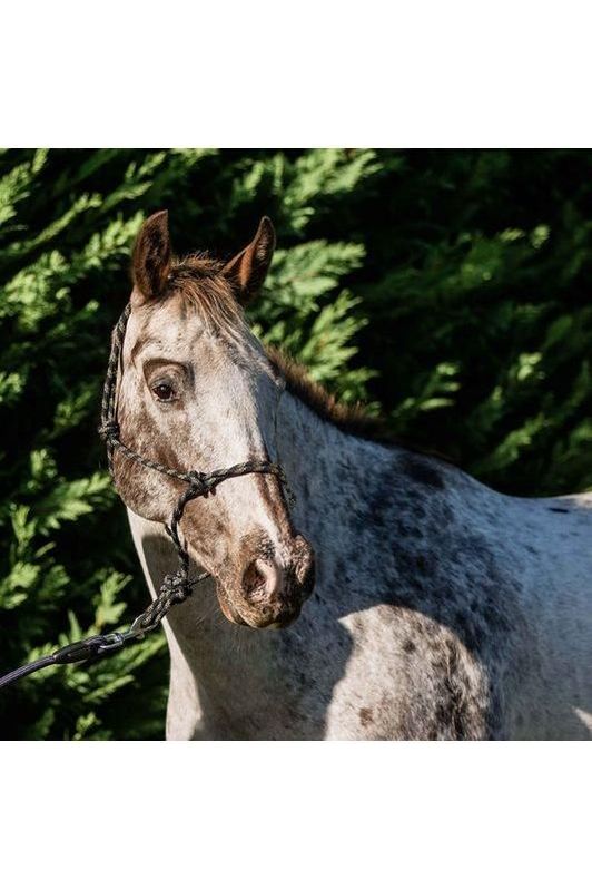 Flair Rope Halter, Multi Fleck - Canterbury Saddlery