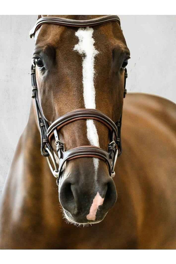 PS of Sweden - Paris Bridle - Canterbury Saddlery