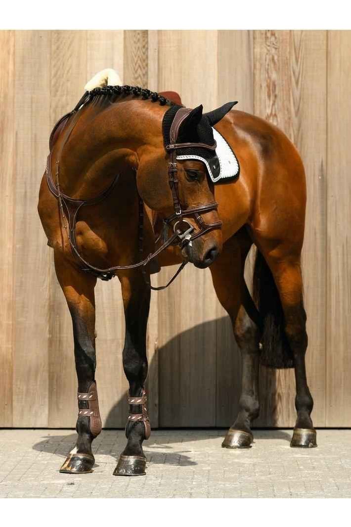 PS of Sweden - Paris Bridle - Canterbury Saddlery
