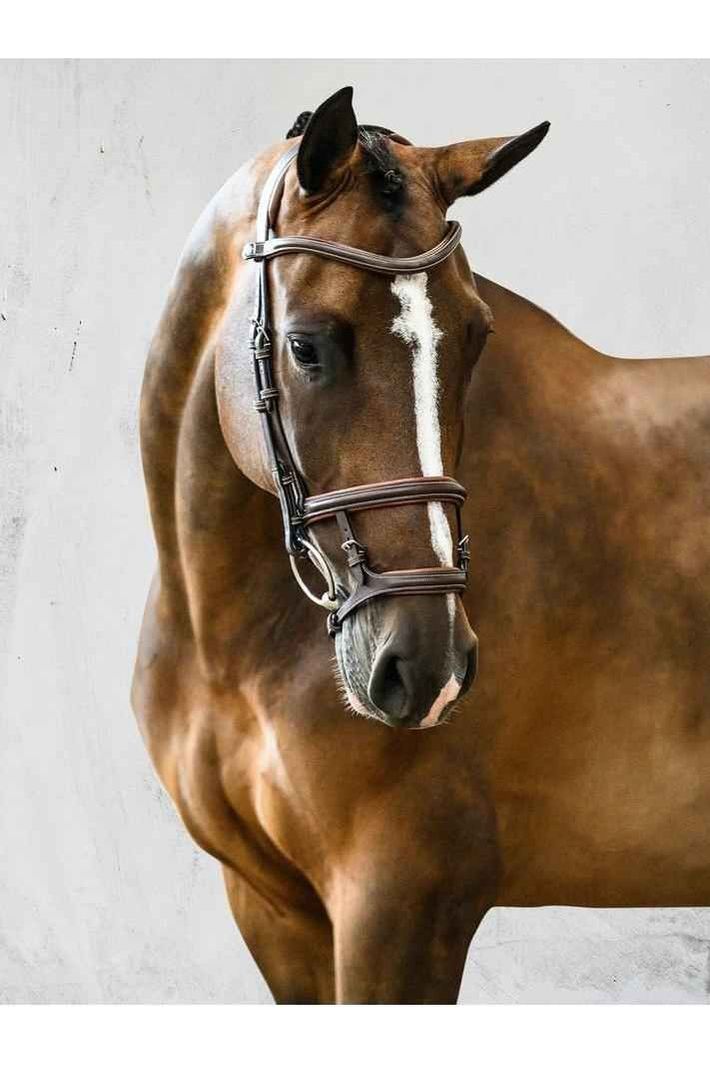 PS of Sweden - Paris Bridle - Canterbury Saddlery