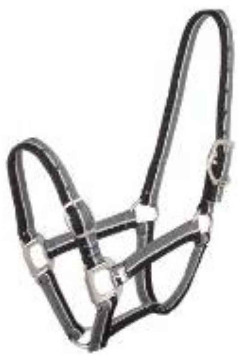 Striped Halter - Canterbury Saddlery
