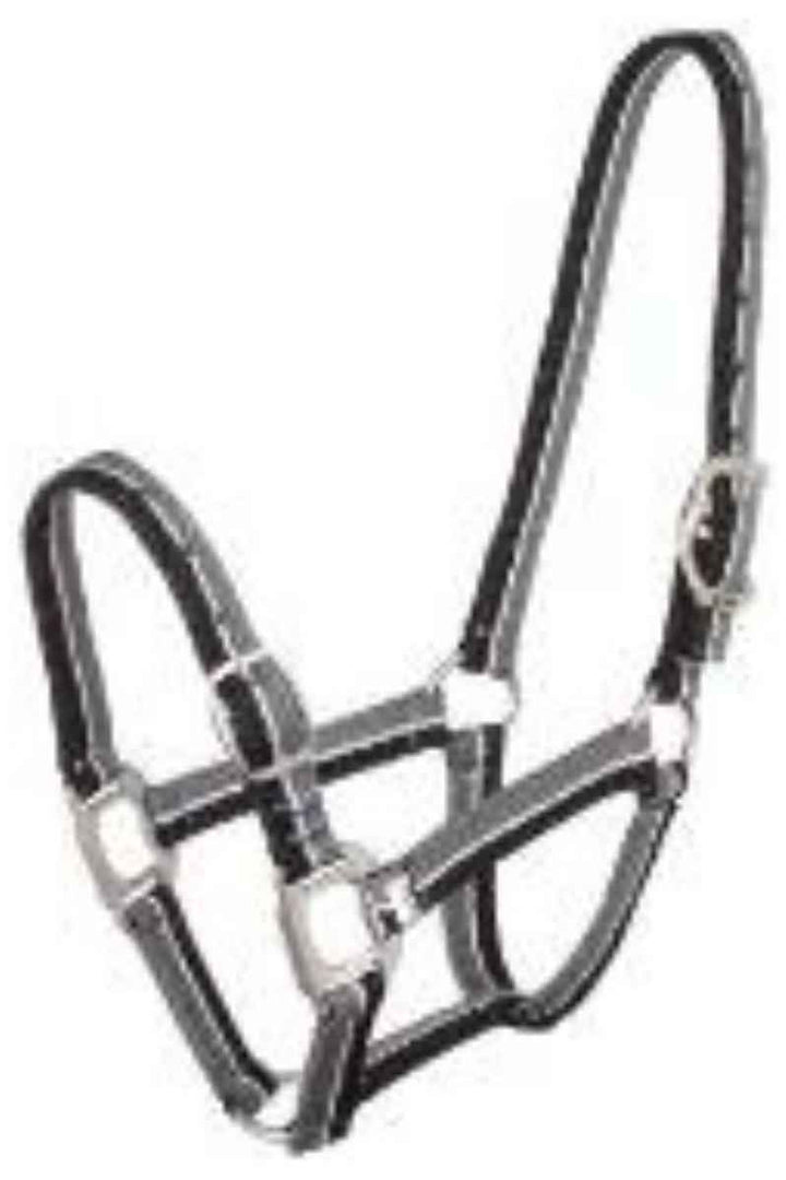 Striped Halter - Canterbury Saddlery